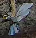 Best image of Grey heron