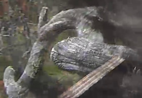 Best image of Ural owl