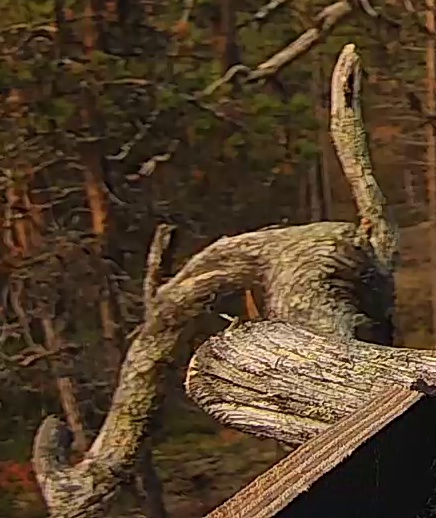 Best image of Great bittern